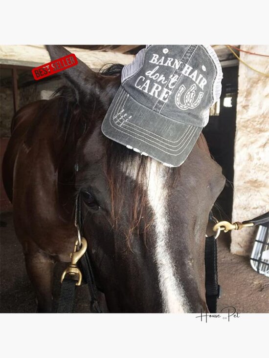 Barn Hair Don\'t Care Baseball Cap - Embroidered Distressed Trucker Hat for main image 5